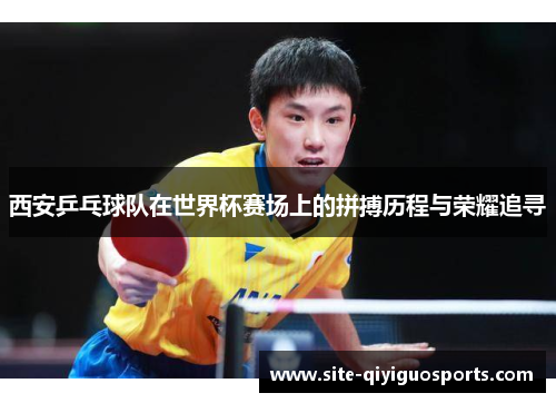 西安乒乓球队在世界杯赛场上的拼搏历程与荣耀追寻